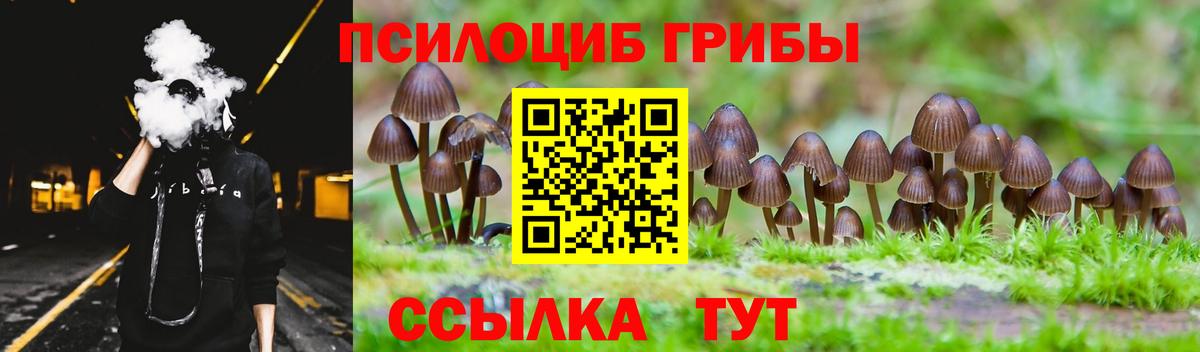 как найти закладки  Галлюциногенные грибы Psilocybe  Вход с VPN  Чайковский  Псилоцибиновые грибы Magic Shrooms 